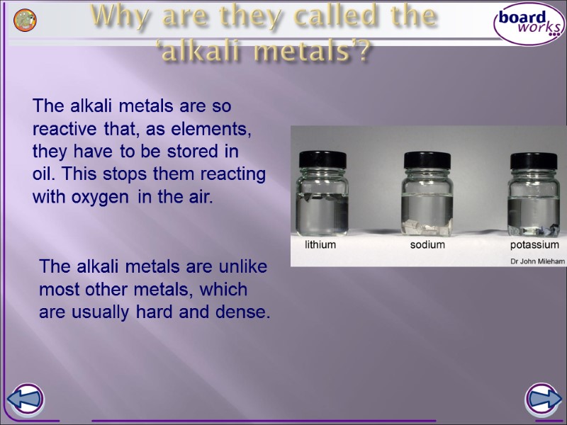 Why are they called the ‘alkali metals’? The alkali metals are so reactive that,